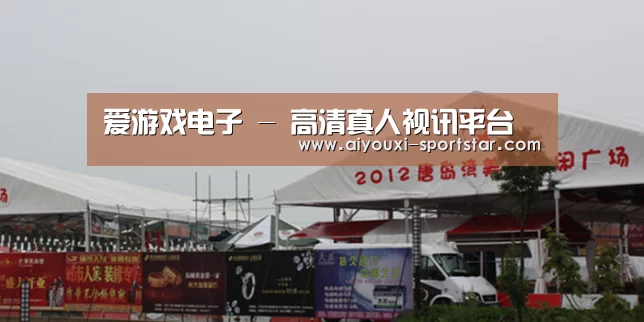 案例标题十