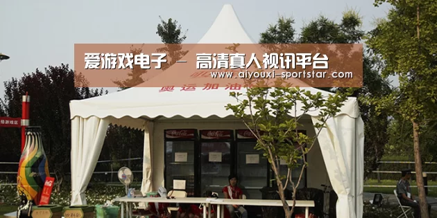案例标题五