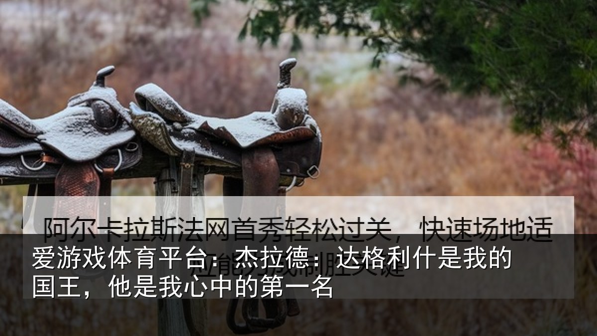爱游戏体育平台：杰拉相关情况国王相关情况名
