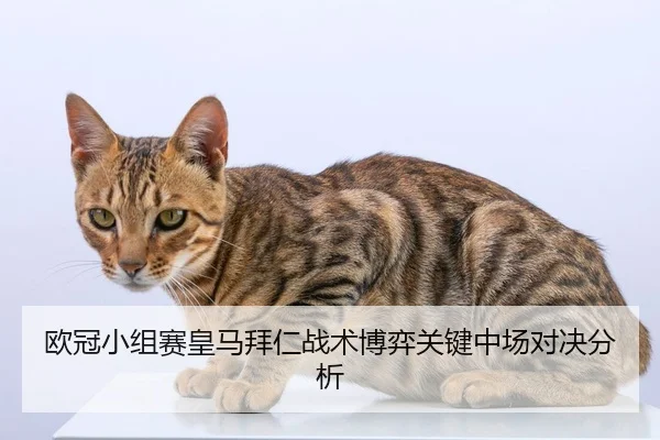 欧冠小组赛皇马拜仁战术博弈关键中场对决分析