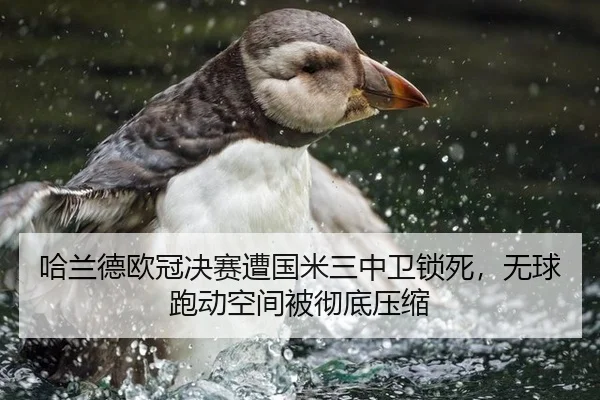 哈兰德欧冠决赛遭国米三中卫锁死，无球跑动空间被彻底压缩