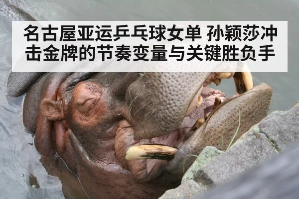 名古屋亚运乒乓球女单 孙颖莎冲击金牌的节奏变量与关键胜负手