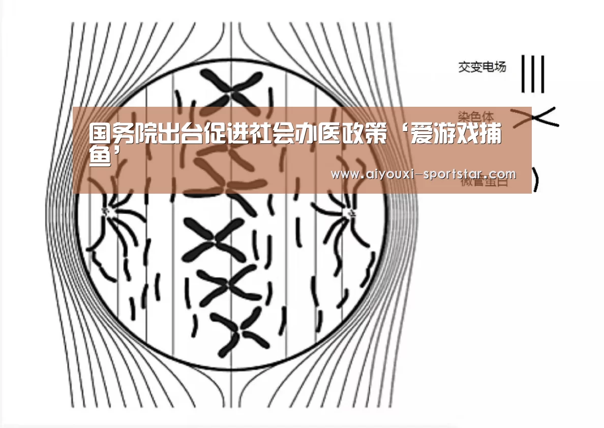 国务院出台促进社会办医政策‘爱游戏捕鱼’