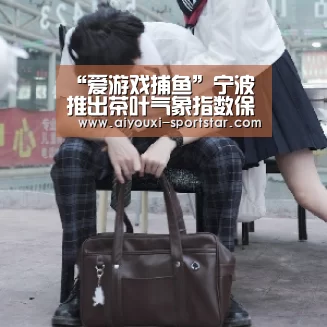爱游戏电子